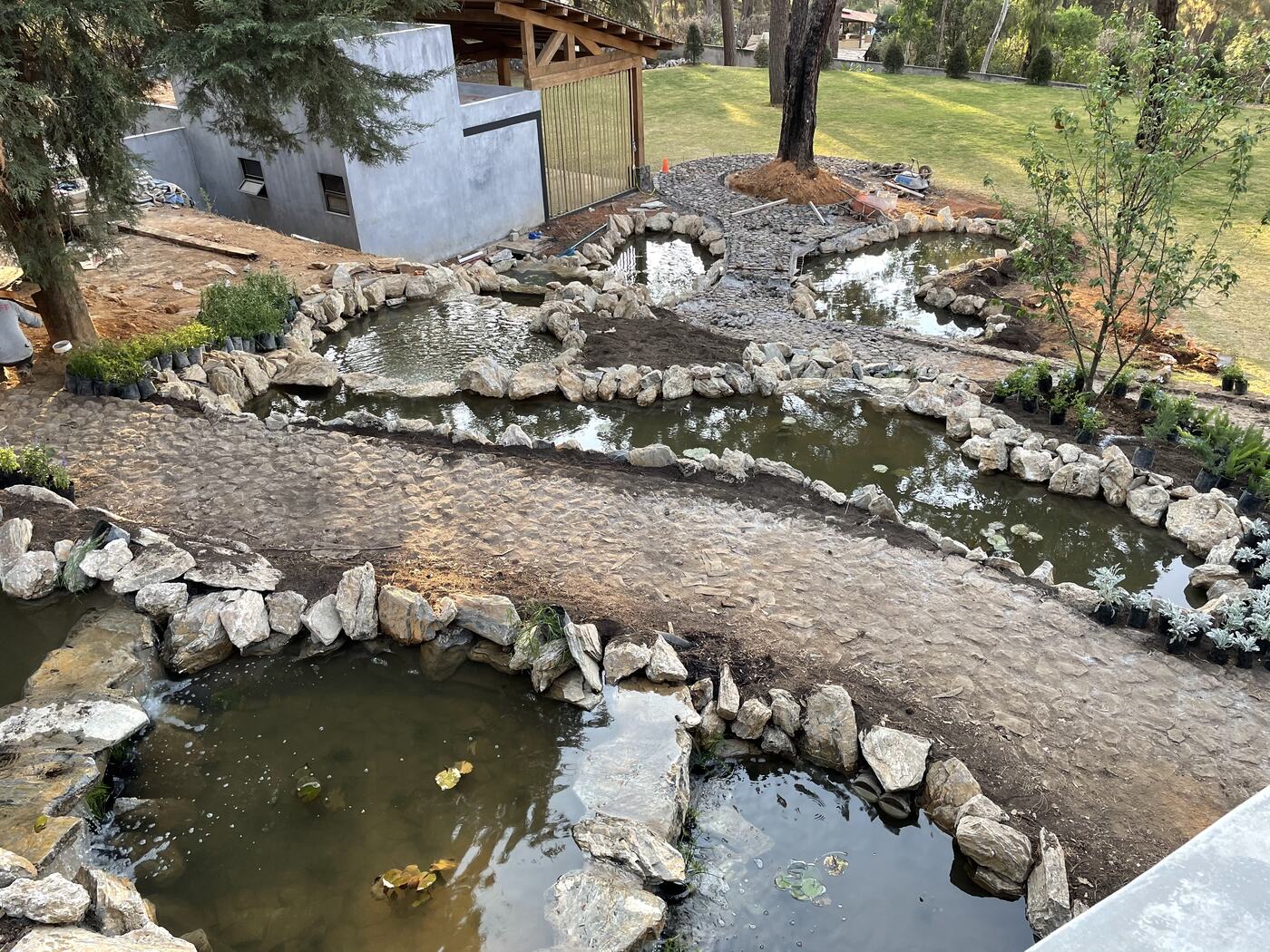 Estanque y sendero durante la obra, con la tierra aún expuesta