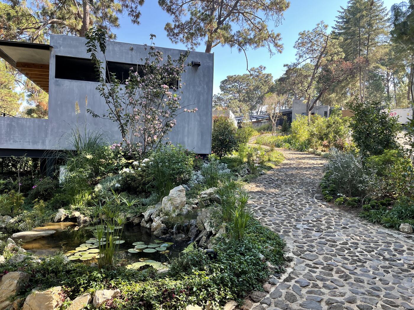 Jardín terminado con estanque, plantas y sendero de piedra bola