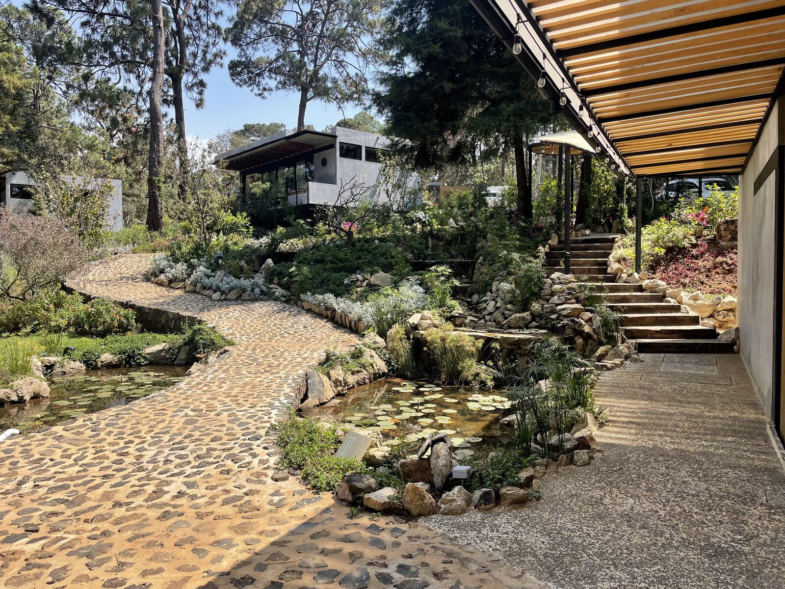 Sendero curvo junto al estanque y la terraza
