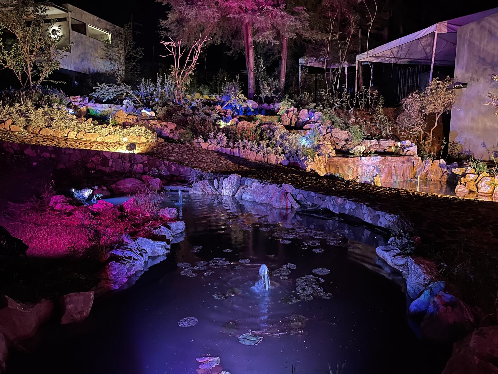 Estanque iluminado de noche entre rocas y plantas